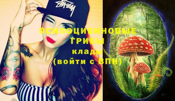 PSILOCYBIN Магас