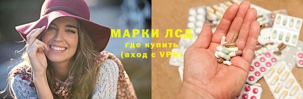 PSILOCYBIN Магас