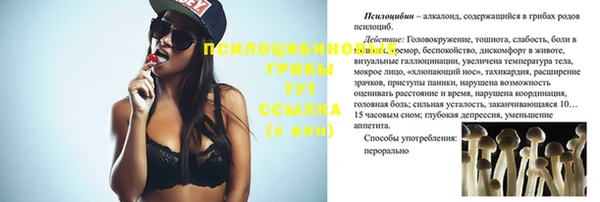 MESCALINE Майский