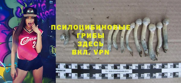 дмт Гусь-Хрустальный