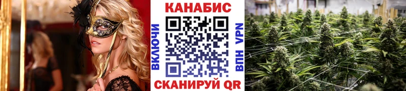 дарнет шоп  Дегтярск  Каннабис индика 